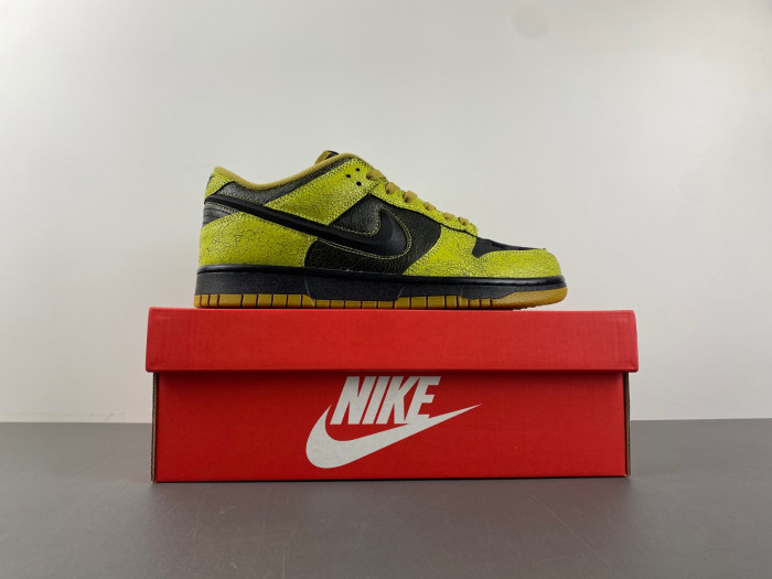 Dunk Low 