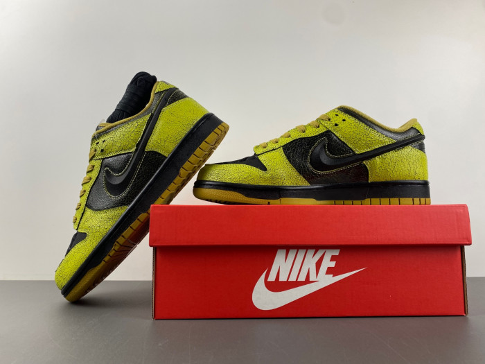 Dunk Low 